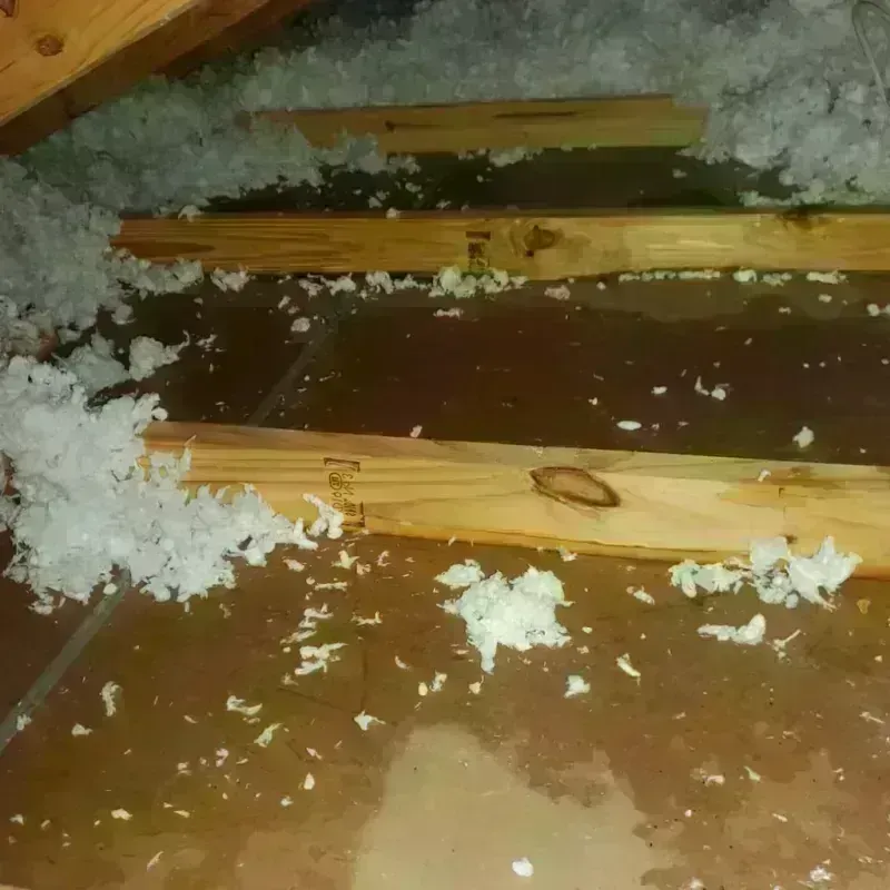 Attic Water Damage in Red Hill, PA